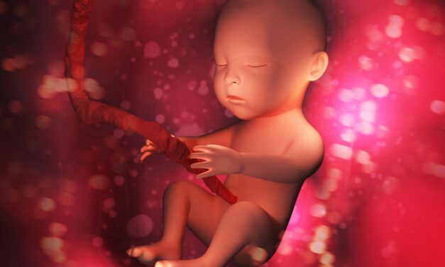 With North Dakota Abortion Ban in Effect, 17 States Now Protect Babies From Abortions