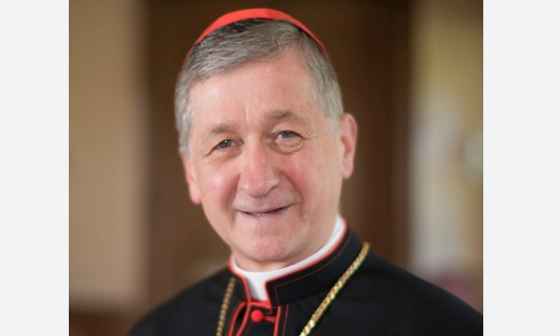 Catholic Cardinal Tells Court to Protect Doctors From Having to Assist Abortions