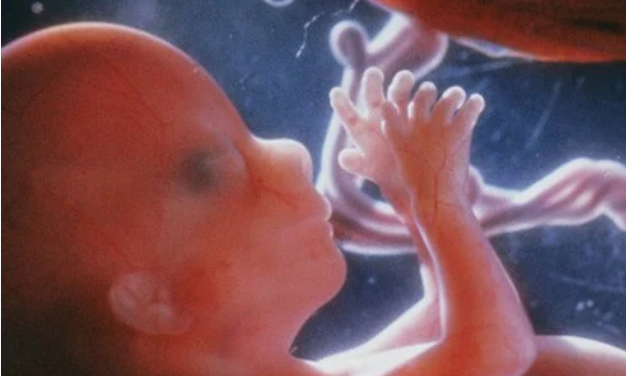 South Carolina Bill Would Ban All Abortions, Call Killing a Baby Murder