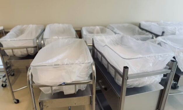 Hundreds of Russian villages disappear as birth rate plummets