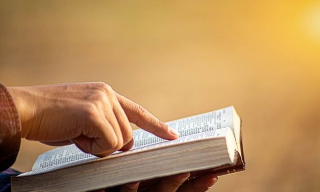 Pro-life MP slams Liberal for saying ‘MAGA religious extremism’ justifies ‘hate speech’ bill