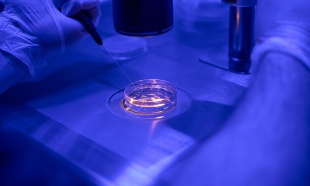 ‘Brave New World’: IVF company’s eugenics tool lets couples pick ‘best’ baby, discard the rest