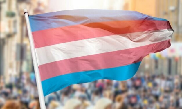 ‘Transgender’ pedophile arrested in Swedish murder case