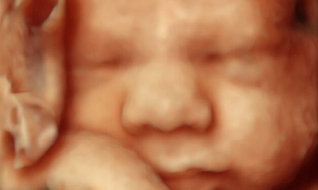 Utah Asks Judge to Allow Abortion Ban to Go Into Effect, Save Babies