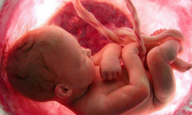 Abortion Was the Leading Cause of Death Worldwide in 2025, Killing 73 Million People