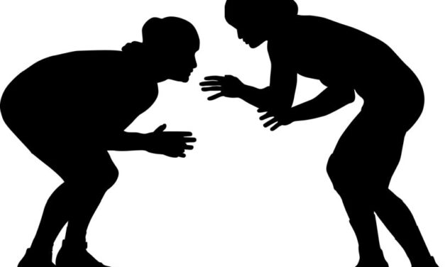 16-year-old girl alleges sexual assault by ‘transgender’ wrestler during match