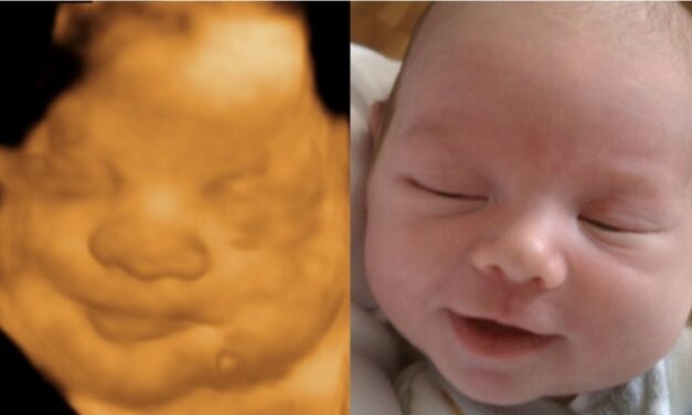 West Virginia is Fighting Mail-Order Abortion Drugs