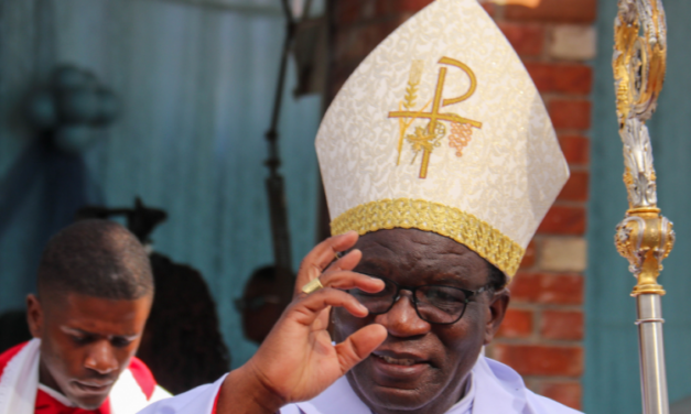 Zimbabwe Catholic bishops urge Senate to reject abortion bill