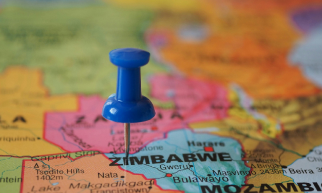 Zimbabwe senate rejects abortion clause