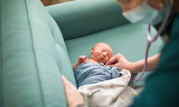 The Quiet War on Birth: Midwifery regulation could be the next abortion battleground