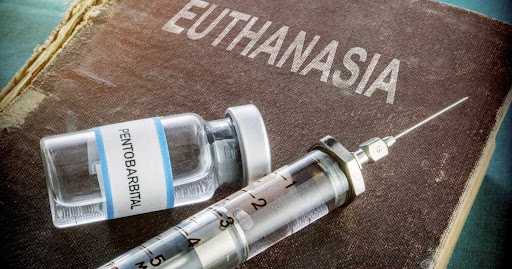 Spain’s top court dismisses father’s attempt to prevent daughter’s euthanasia