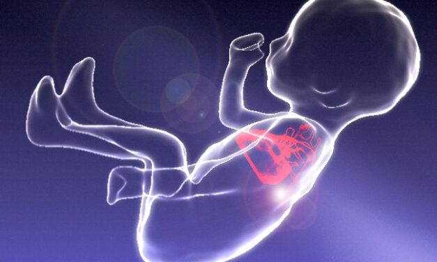 West Virginia Senate Passes Bill to Stop Mail-Order Abortions