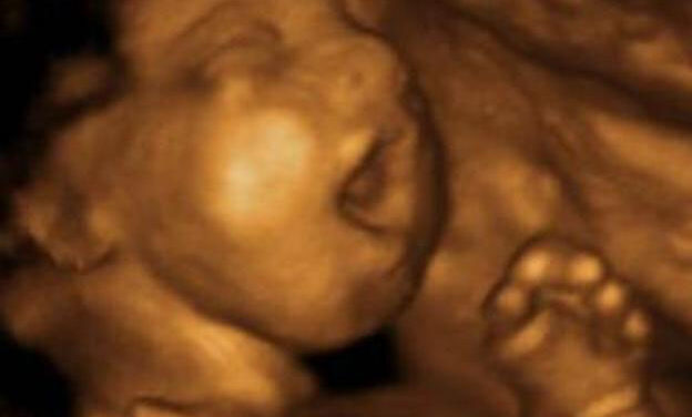 Wyoming Becomes 19th State to Protect Babies From Abortions