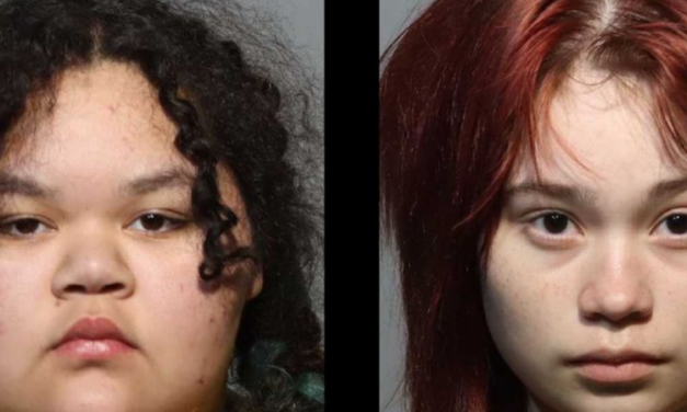 Trans teen plots school murder to ‘resurrect’ Sandy Hook shooter