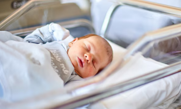 Senators Cotton, Scott demand investigation into Chinese surrogacy schemes