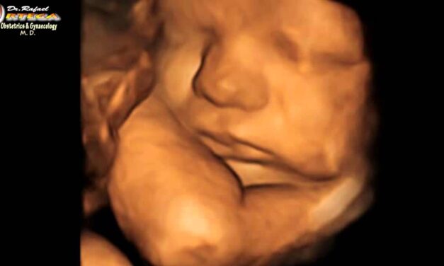 “Pro-Choice” is Still a Horrible Euphemism for Killing Babies in Abortions