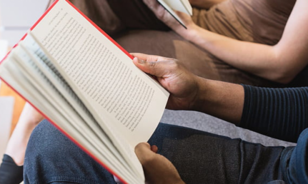 Author proudly designs book cover to hide queer themes from parents