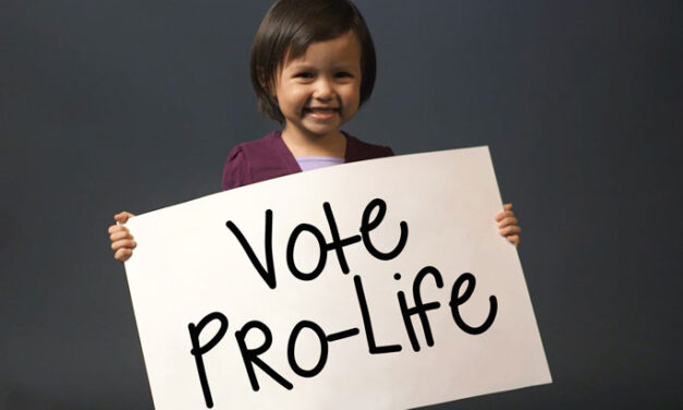 Illinois Pro-Life Group Fights to Get Radical Abortion Amendment Off the Ballot