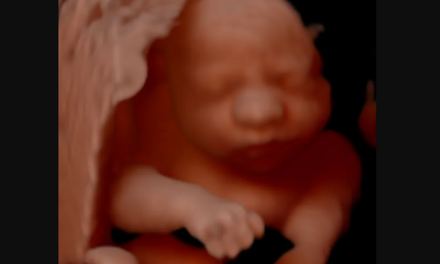 Tennessee Legislature Passes Bill to Stop Mail-Order Abortions