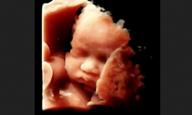Mail-Order Abortions Have Killed Over 91,000 Babies in Pro-Life States
