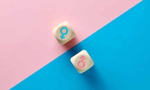 Is C. S. Lewis’s Theory of Gender and Sexuality Worth Investigating?