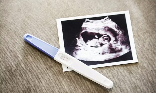 Pro-Life Africans Gather to Oppose Abortion and Gender Ideology