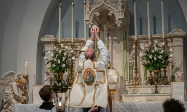 The Synod Report on Same-Sex Relations Should be Withdrawn, Says Pro-Life Academy