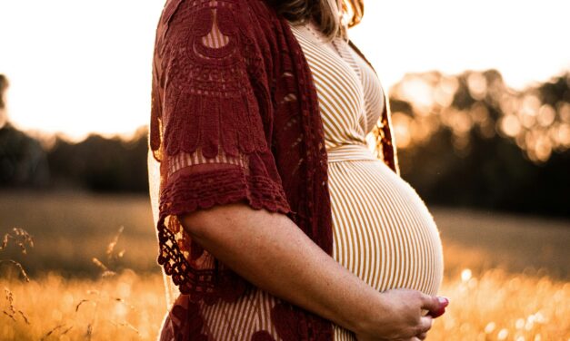 Australian commissioner says men could claim pregnancy protections