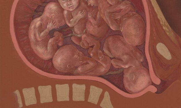 My parents adopted 20 embryos. I was the only one to survive.