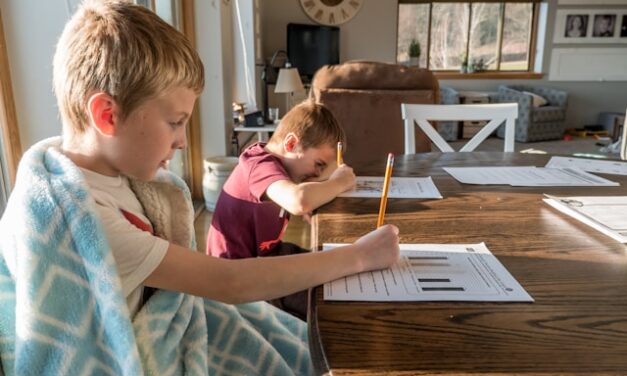 How the Other Half Homeschools