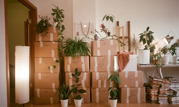Is the Rise in Cohabitation Fueling a Marriage Slowdown?