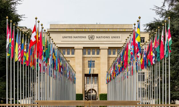 Reproductive Violence: A Dangerous New UN Term