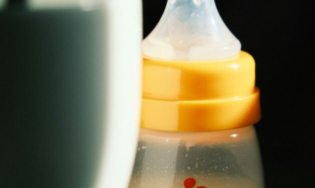 Did a Baby Formula Scare in Israel Influence Fertility?